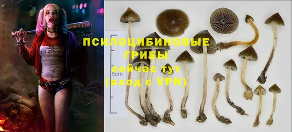 хмурый Михайлов