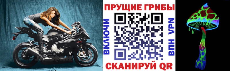это как зайти  Владикавказ  Псилоцибиновые грибы Psilocybine cubensis  закладка 