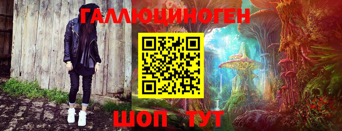 Галлюциногенные грибы Psilocybine cubensis  где найти   Владикавказ  Вход с VPN  Галлюциногенные грибы прущие грибы 